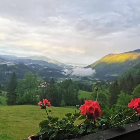 Alpesi faház Apartma Brest *